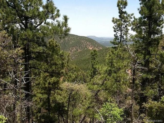 13499 S Firedog Way, Larkspur, CO 80118