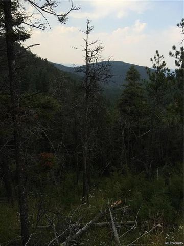 13499 S Firedog Way, Larkspur, CO 80118