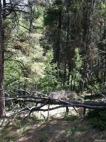 13499 S Firedog Way, Larkspur, CO 80118