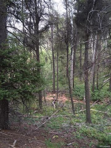 13499 S Firedog Way, Larkspur, CO 80118