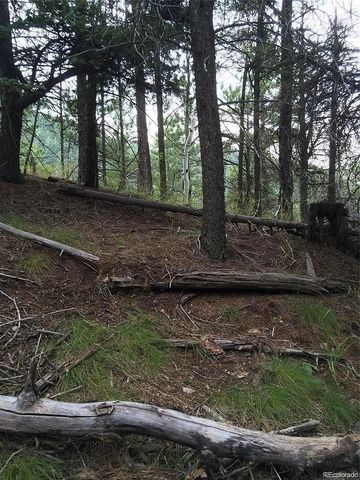 13499 S Firedog Way, Larkspur, CO 80118