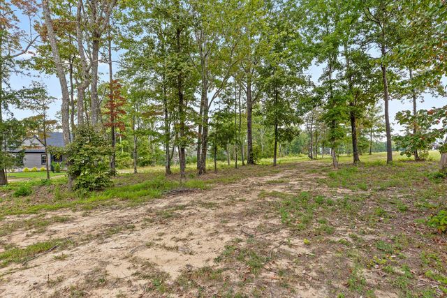 3215 River Gorge Drive Homesite 965, Chattanooga, TN 37419
