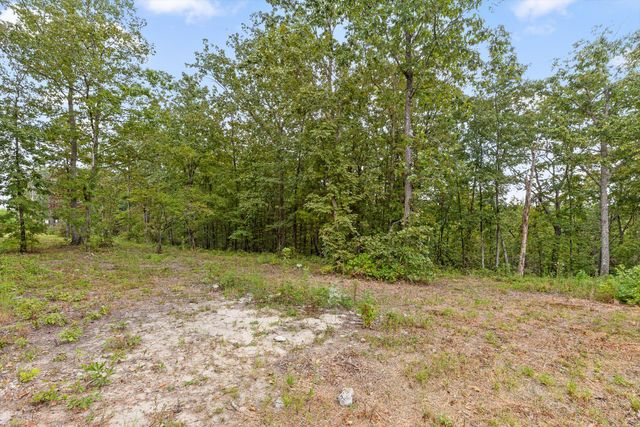 3215 River Gorge Drive Homesite 965, Chattanooga, TN 37419