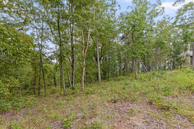3215 River Gorge Drive Homesite 965, Chattanooga, TN 37419