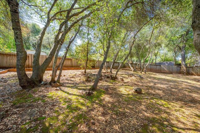 2971 Windsor Ct, Rescue, CA 95672