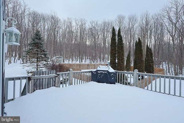 33 TEABERRY RIDGE RD, Lonaconing, MD 21539