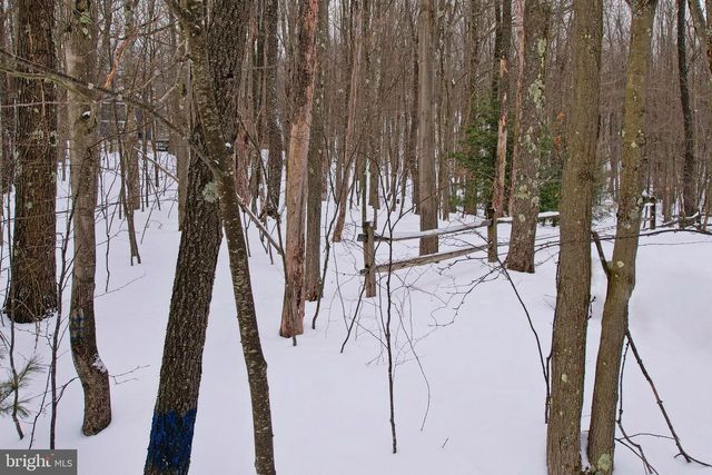 33 TEABERRY RIDGE RD, Lonaconing, MD 21539