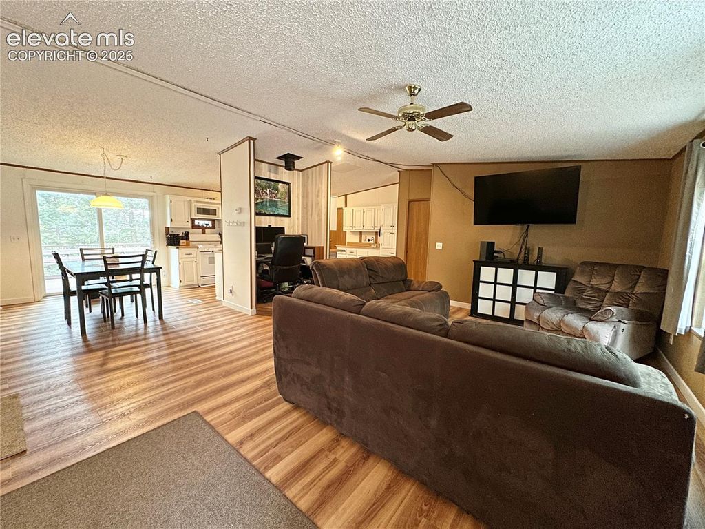 45 La Abu Trail, Florissant, CO 80816 — photo 3