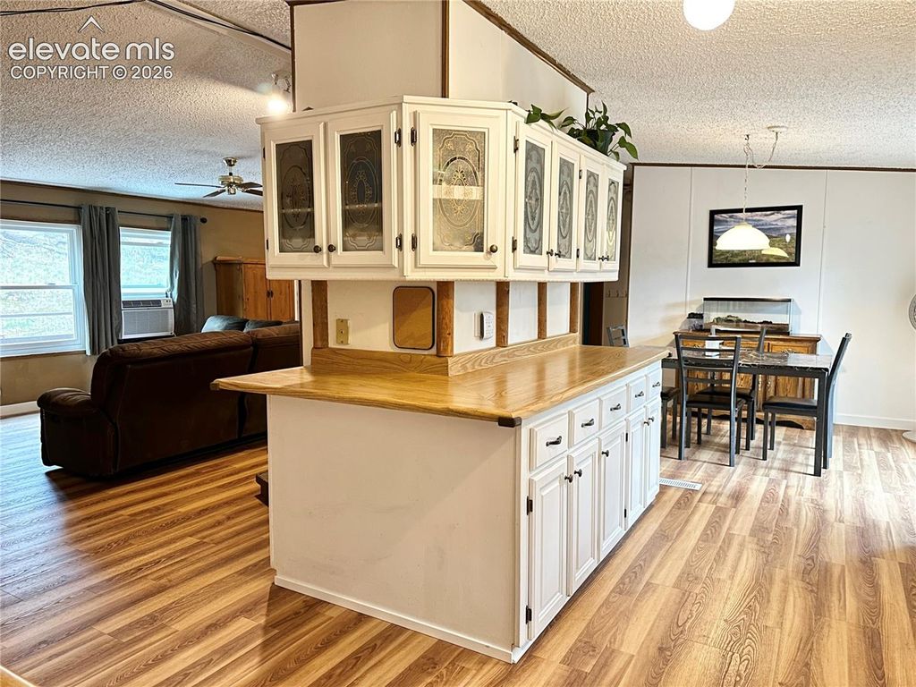 45 La Abu Trail, Florissant, CO 80816 — photo 4