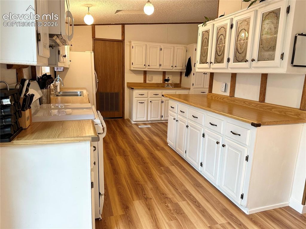 45 La Abu Trail, Florissant, CO 80816 — photo 5