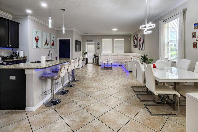 949 TERRA VISTA STREET, Brandon, FL 33511