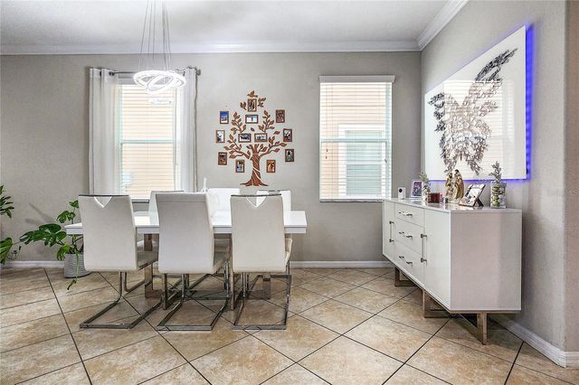 949 TERRA VISTA STREET, Brandon, FL 33511