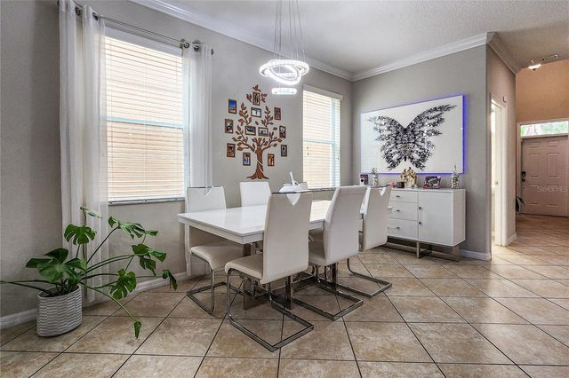 949 TERRA VISTA STREET, Brandon, FL 33511