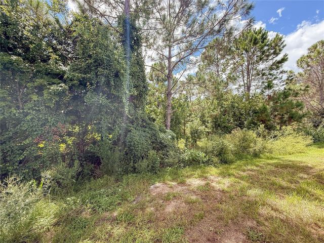 156 GLASS ONION DRIVE, Howey In The Hills, FL 34737