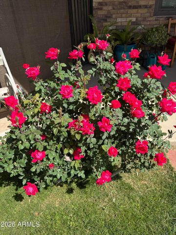 19312 E VIA DE PALMAS --, Queen Creek, AZ 85142