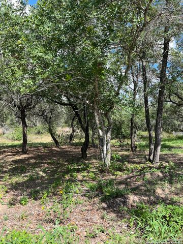 LOT I 497 County Rd 124, Floresville, TX 78112