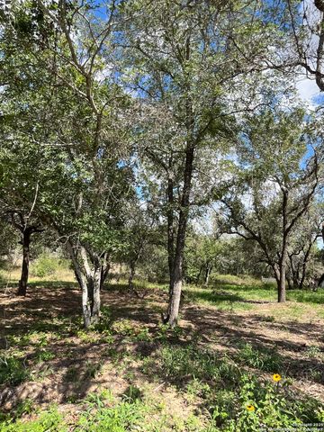 LOT I 497 County Rd 124, Floresville, TX 78112