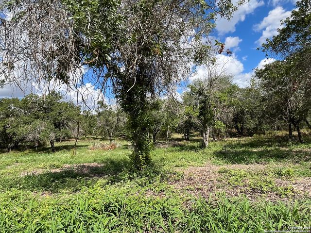 LOT I 497 County Rd 124, Floresville, TX 78112