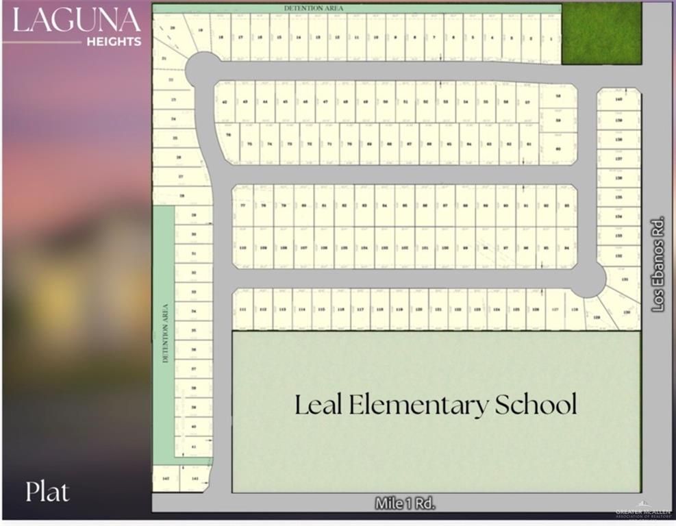 138 Los Ebanos Road, Mission, TX 78572