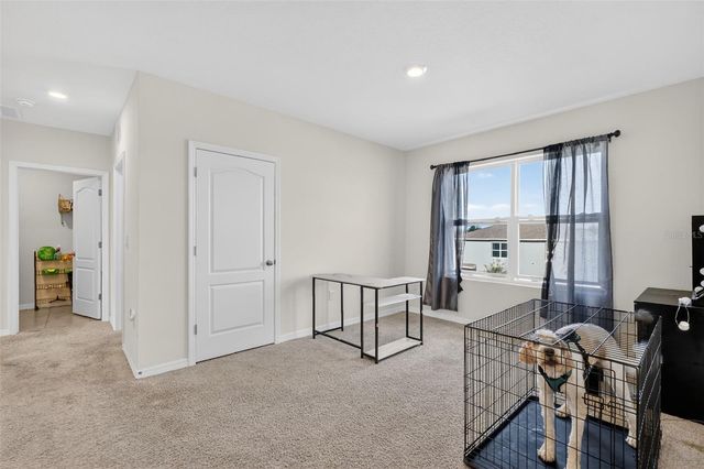 11338 AMBER RIDGE DRIVE, Zellwood, FL 32798