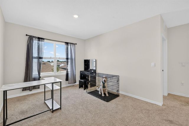 11338 AMBER RIDGE DRIVE, Zellwood, FL 32798