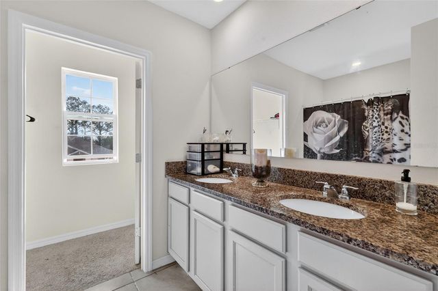 11338 AMBER RIDGE DRIVE, Zellwood, FL 32798