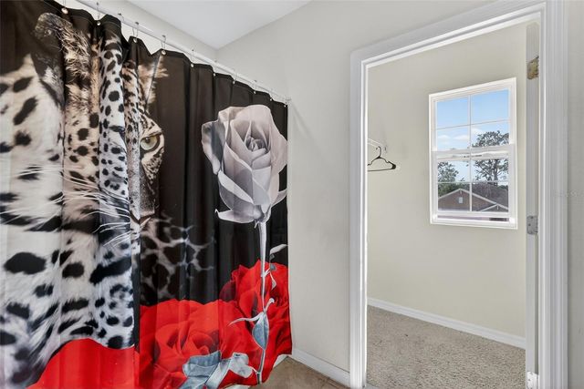 11338 AMBER RIDGE DRIVE, Zellwood, FL 32798