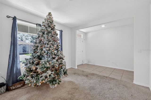 11338 AMBER RIDGE DRIVE, Zellwood, FL 32798