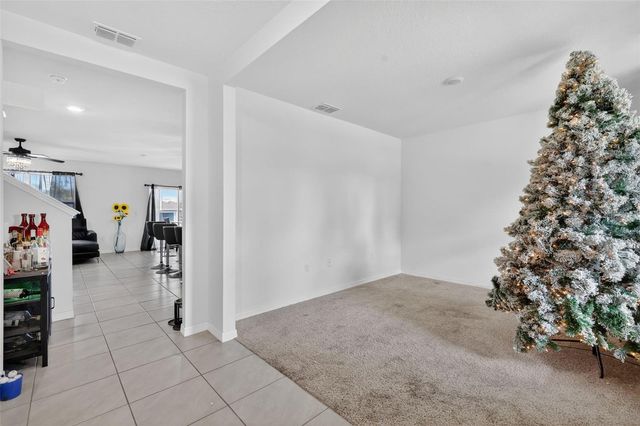 11338 AMBER RIDGE DRIVE, Zellwood, FL 32798