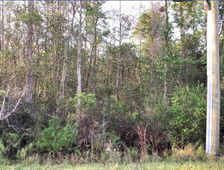 20828 QUINLAN STREET, Orlando, FL 32833