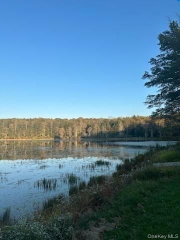 10 Dorm Drive, Fallsburg, NY 12747