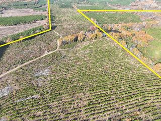0 CR 3201, Daingerfield, TX 75638