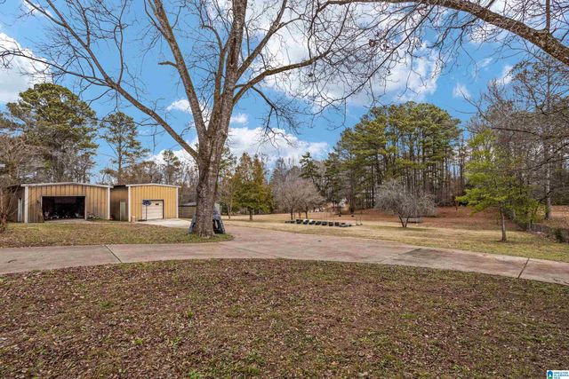 2945 MOUNT OLIVE ROAD, Mount Olive, AL 35117