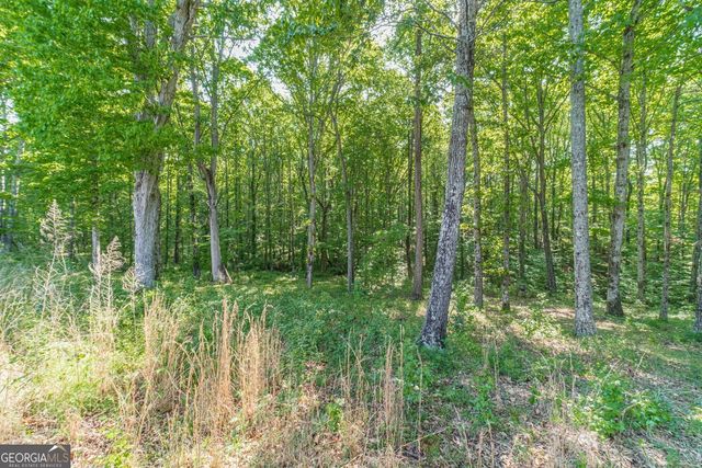 2124 Stonegate Way, Monroe, GA 30656