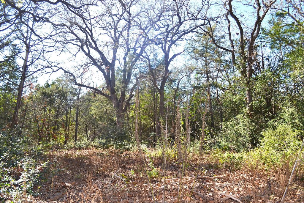 10318-1 Parsons RD, Manor, TX 78653
