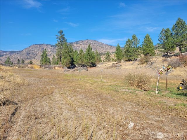 20 Round Up Road, Oroville, WA 98844