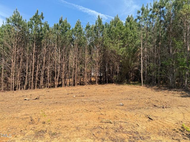 2345 Peachtree Hills Road, Spring Hope, NC 27882
