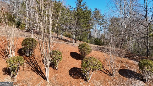 120 Ridgeland, Sautee Nacoochee, GA 30571