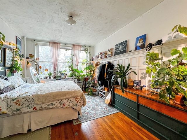 144 Coolidge Street 1, Brookline, MA 02446