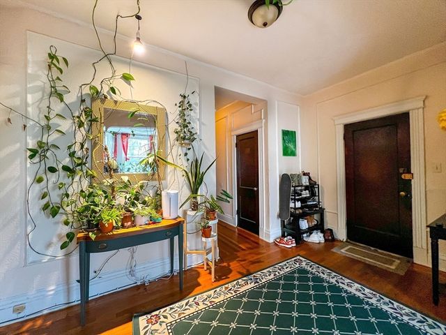 144 Coolidge Street 1, Brookline, MA 02446