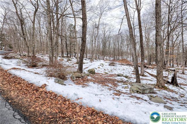 Sparrow Road, Lehman Twp, PA 18324
