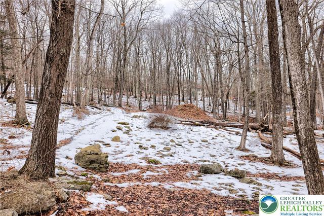 Sparrow Road, Lehman Twp, PA 18324