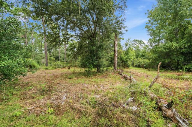 8565 SW 156TH PLACE, Dunnellon, FL 34432