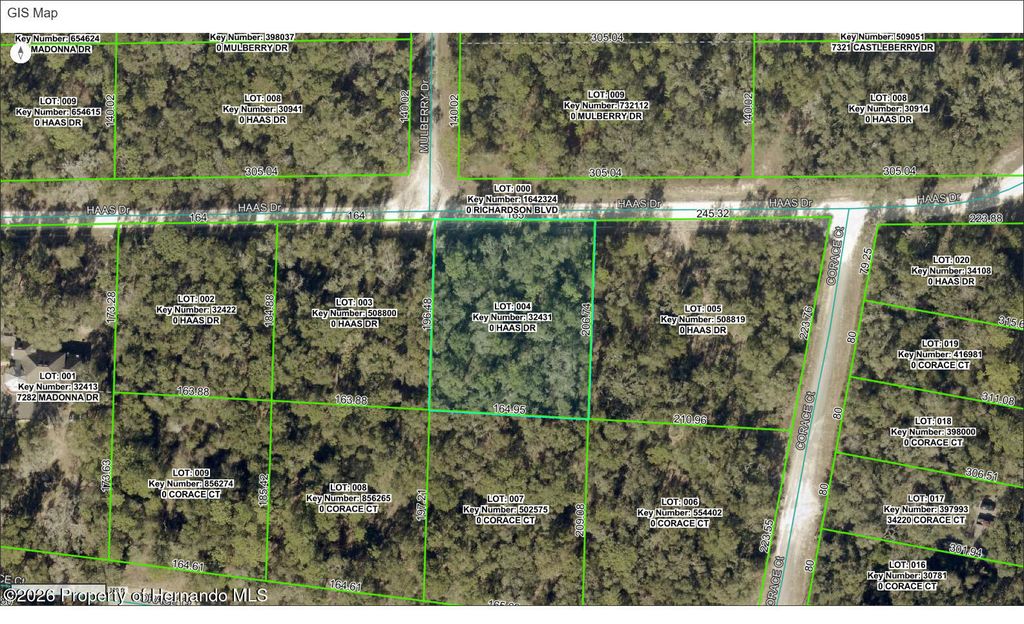0 Haas Drive, Webster, FL 33597
