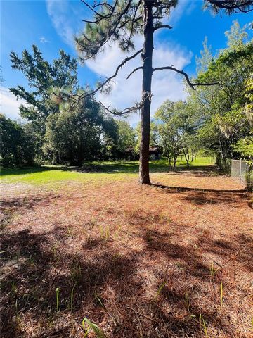 17222 DANSVILLE DRIVE, Spring Hill, FL 34610