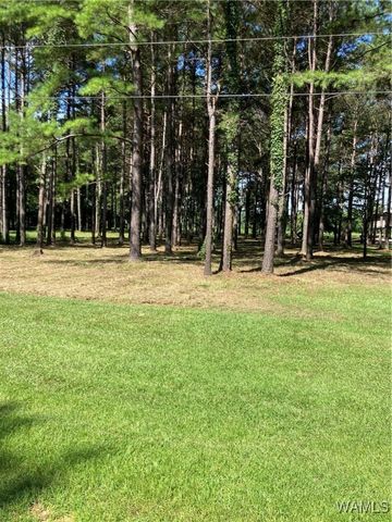 Lot 21 Cypress Point, Akron, AL 35441