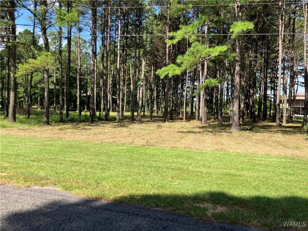 Lot 21 Cypress Point, Akron, AL 35441