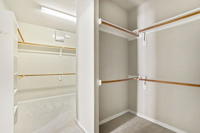 1502 Olive Place, Houston, TX 77077
