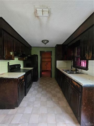 519 E 3rd Street, Sullivan City, TX 78595