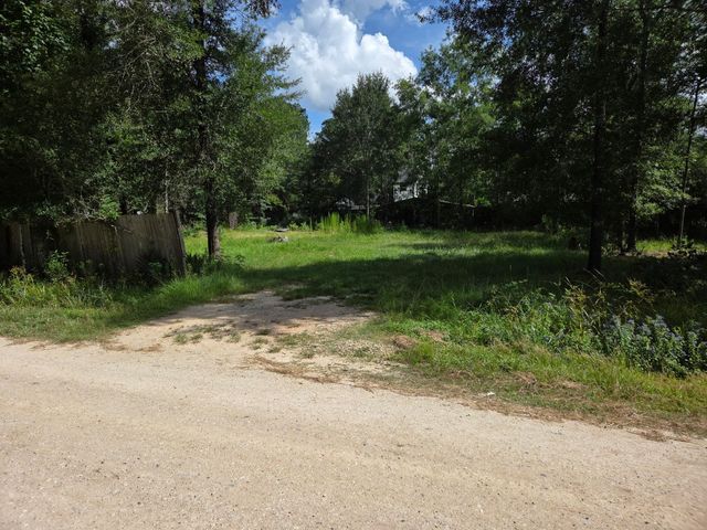 70830 June, Shepherd, TX 77371